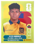 Panini FIFA WM 2026 United - ECU 17 - Nilson Angulo