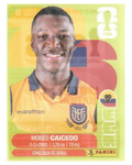 Panini FIFA WM 2026 United - ECU 9 - Moises Caicedo