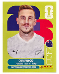 Panini FIFA WM 2026 United - NZL 17 - Chris Wood