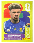 Panini FIFA WM 2026 United - RSA 2 - Ronwen Williams