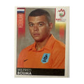 Panini UEFA EURO 2008 – Nr. 262 – Wilfred Bouma – Schweizer Edition – Vorderseite