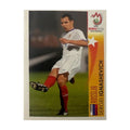 Panini UEFA EURO 2008 – Nr. 478 – Sergei Ignashevich – Action – Schweizer Edition – Vorderseite