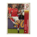 Panini UEFA EURO 2008 – Nr. P18 – Philippe Senderos – Action – Schweizer Edition – Vorderseite
