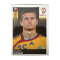 Panini UEFA EURO 2008 – Nr. 315 – Dorin Goian – Südamerika-Version – Vorderseite