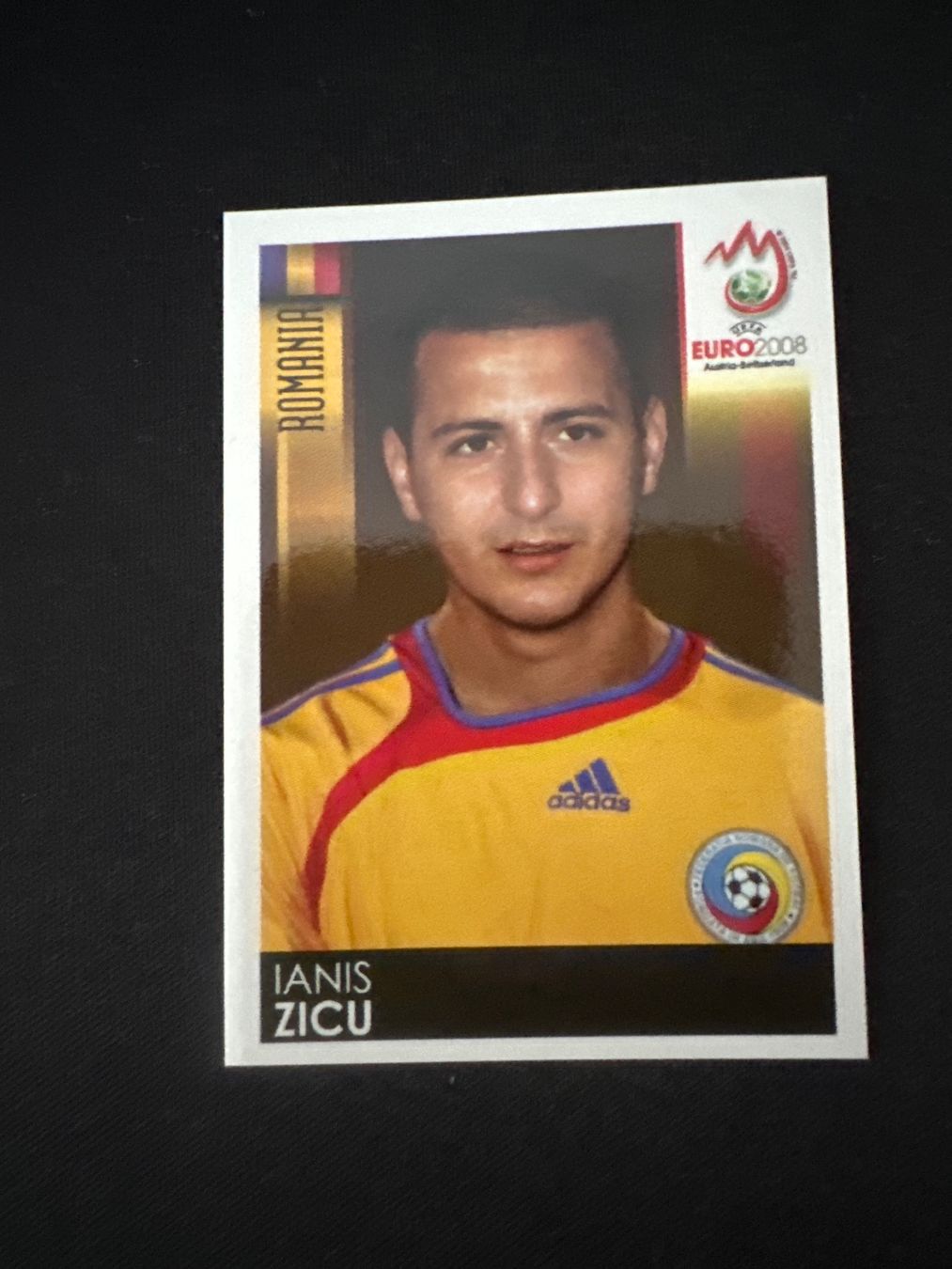 Panini UEFA EURO 2008 – Nr. 328 – Ianis Zicu – Südamerika-Version – Originalfoto Vorderseite