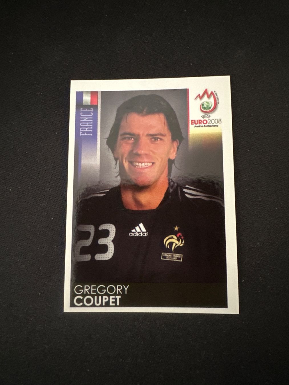 Panini UEFA EURO 2008 – Nr. 338 – Gregory Coupet – Südamerika-Version – Originalfoto Vorderseite