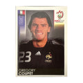Panini UEFA EURO 2008 – Nr. 338 – Gregory Coupet – Südamerika-Version – Vorderseite