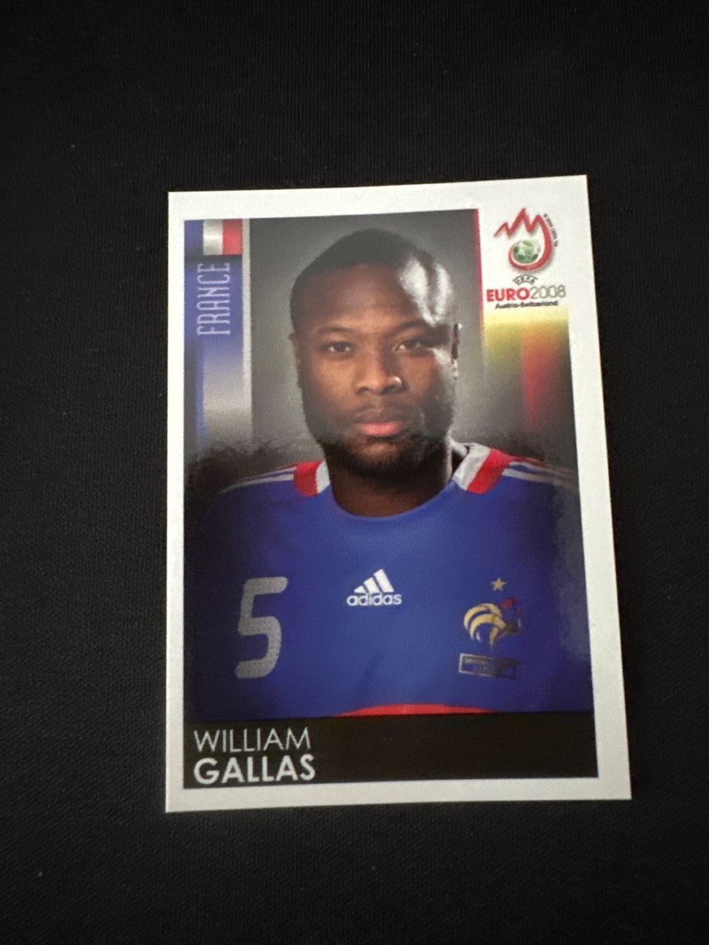 Panini UEFA EURO 2008 – Nr. 340 – William Gallas – Südamerika-Version – Originalfoto Vorderseite