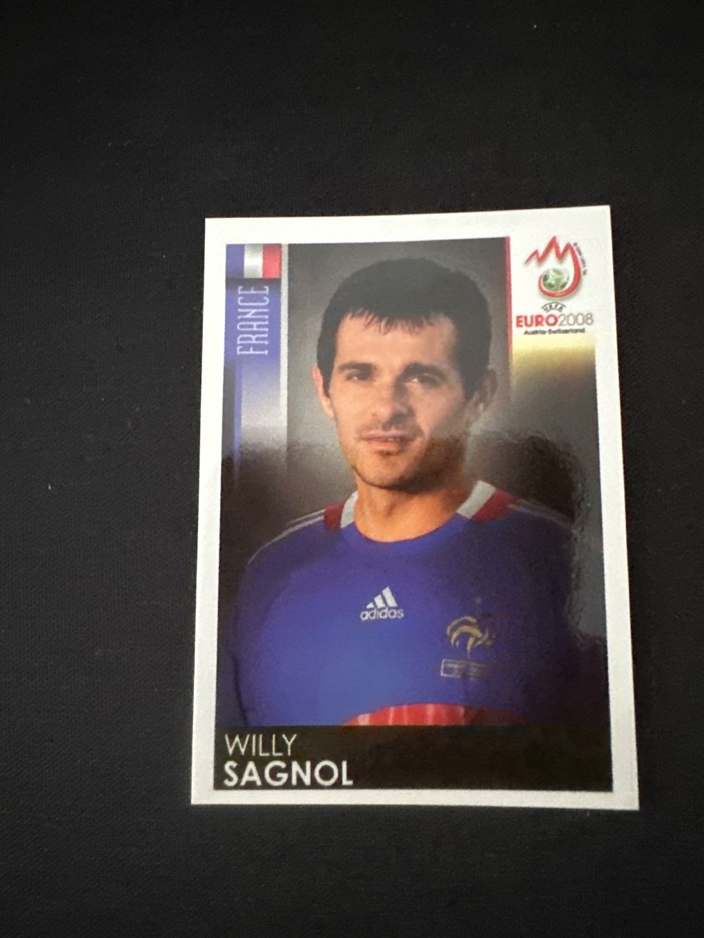 Panini UEFA EURO 2008 – Nr. 343 – Willy Sagnol – Südamerika-Version – Originalfoto Vorderseite