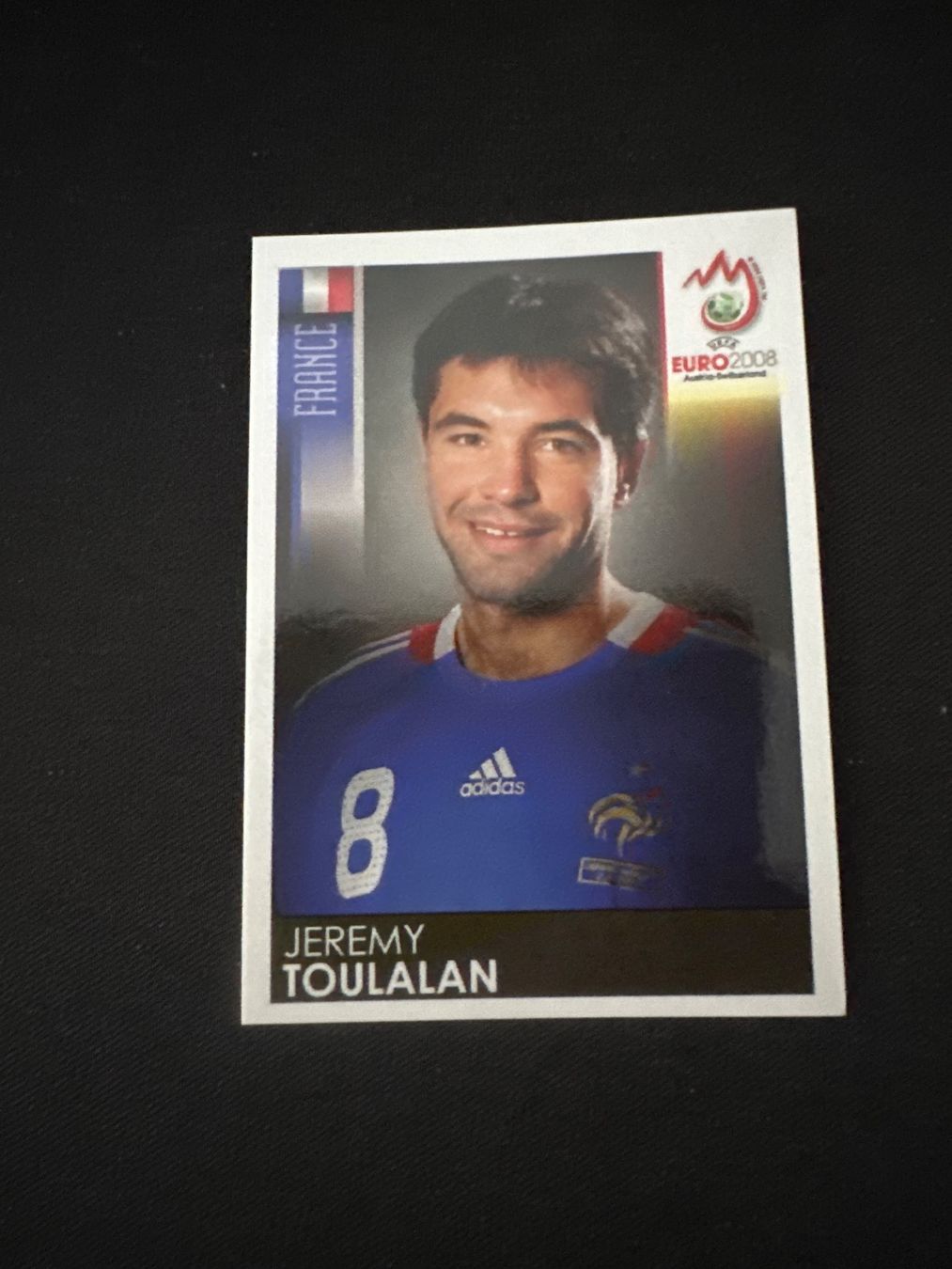 Panini UEFA EURO 2008 – Nr. 348 – Jeremy Toulalan – Südamerika-Version – Originalfoto Vorderseite