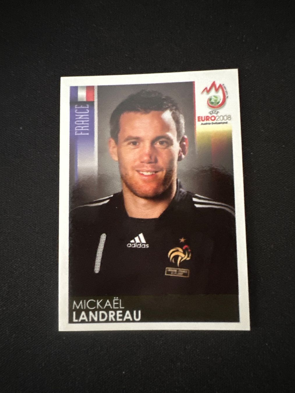 Panini UEFA EURO 2008 – Nr. 357 – Mickaël Landreau – Südamerika-Version – Originalfoto Vorderseite
