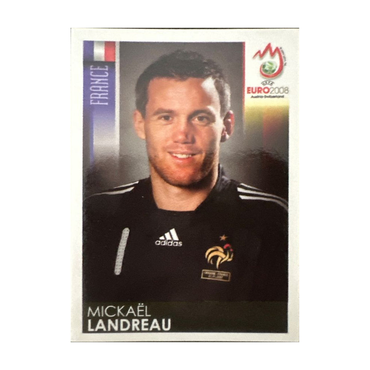 Panini UEFA EURO 2008 – Nr. 357 – Mickaël Landreau – Südamerika-Version – Vorderseite
