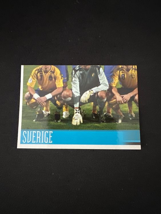Panini UEFA EURO 2008 – Nr. 387 – Schweden Mannschaft Teilbild unten links – Südamerika-Version – Originalfoto Vorderseite