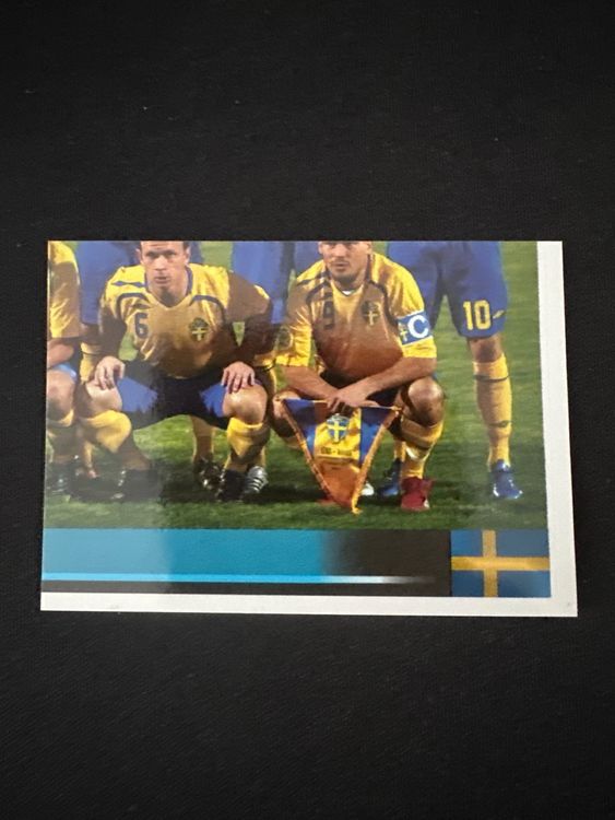 Panini UEFA EURO 2008 – Nr. 388 – Schweden Mannschaft Teilbild unten rechts – Südamerika-Version – Originalfoto Vorderseite