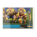 Panini UEFA EURO 2008 – Nr. 388 – Schweden Mannschaft Teilbild unten rechts – Südamerika-Version – Vorderseite