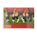 Panini UEFA EURO 2008 – Nr. 413 – Spanien Mannschaft Teilbild unten links – Südamerika-Version – Vorderseite