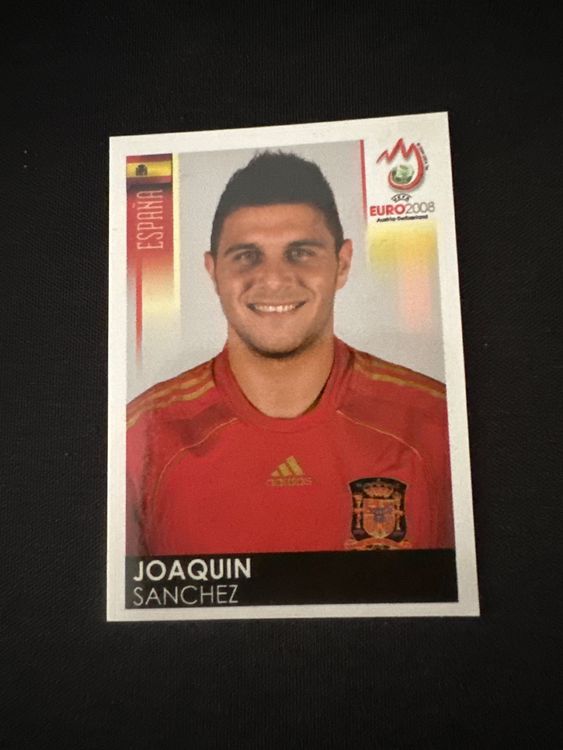 Panini UEFA EURO 2008 – Nr. 429 – Joaquin Sanchez – Südamerika-Version – Originalfoto Vorderseite