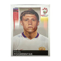 Panini UEFA EURO 2008 – Nr. 459 – Pavel Pogrebnyak – Südamerika-Version – Vorderseite