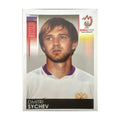Panini UEFA EURO 2008 – Nr. 460 – Dmitri Sychev – Südamerika-Version – Vorderseite