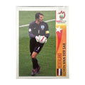 Panini UEFA EURO 2008 – Nr. 466 – Edwin van der Sar – Action – Südamerika-Version – Vorderseite