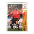 Panini UEFA EURO 2008 – Nr. 476 – Carles Puyol – Action – Südamerika-Version – Vorderseite