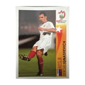 Panini UEFA EURO 2008 – Nr. 478 – Sergei Ignashevich – Action – Südamerika-Version – Vorderseite
