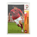 Panini UEFA EURO 2008 – Nr. 491 – Tranquillo Barnetta – Action – Südamerika-Version – Vorderseite