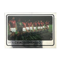Panini UEFA EURO 2008 – Nr. 528 – Europameister 1976 Tschechoslowakei – Südamerika-Version – Vorderseite