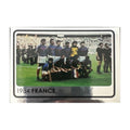 Panini UEFA EURO 2008 – Nr. 530 – Europameister 1984 Frankreich – Südamerika-Version – Vorderseite