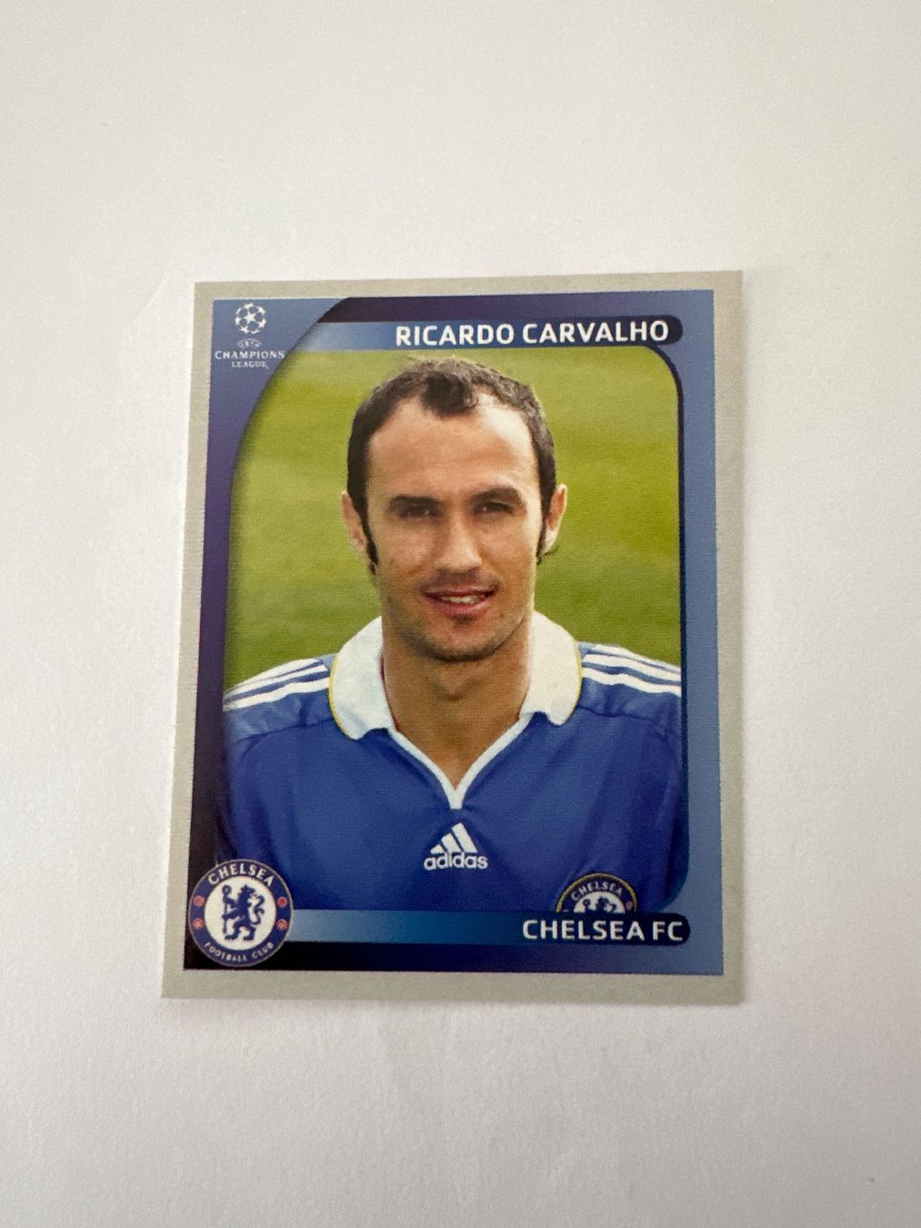 Panini UEFA Champions League 2008/09 - Nr. 233 - Bild 1