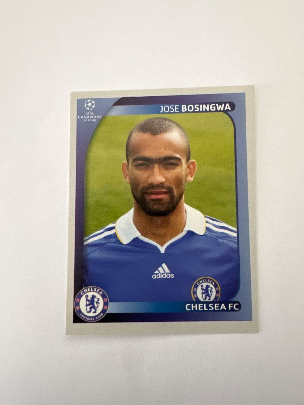 Panini UEFA Champions League 2008/09 - Nr. 234 - Bild 1