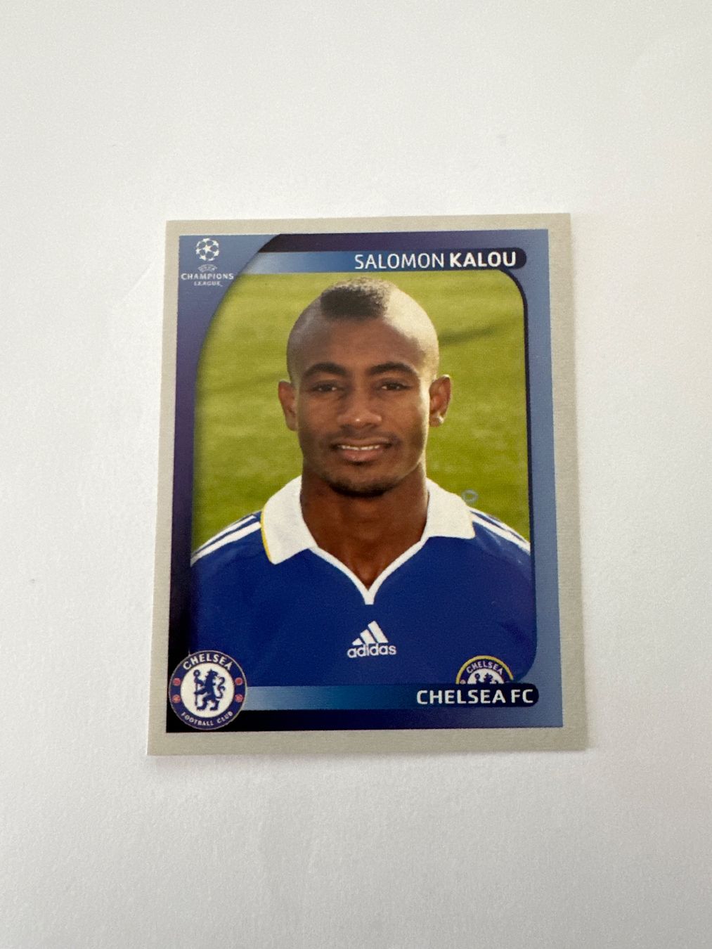 Panini UEFA Champions League 2008/09 - Nr. 246 - Bild 1
