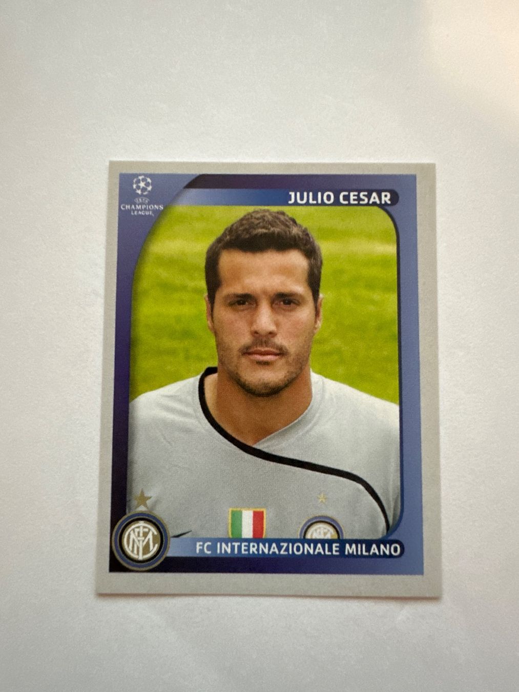 Panini UEFA Champions League 2008/09 - Nr. 299 - Bild 1