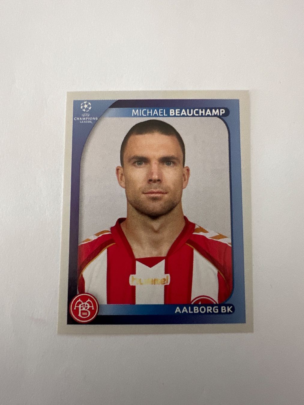 Panini UEFA Champions League 2008/09 - Nr. 29 - Bild 1