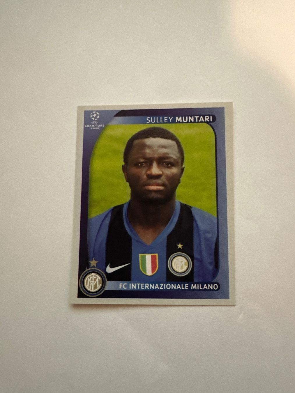 Panini UEFA Champions League 2008/09 - Nr. 308 - Bild 1