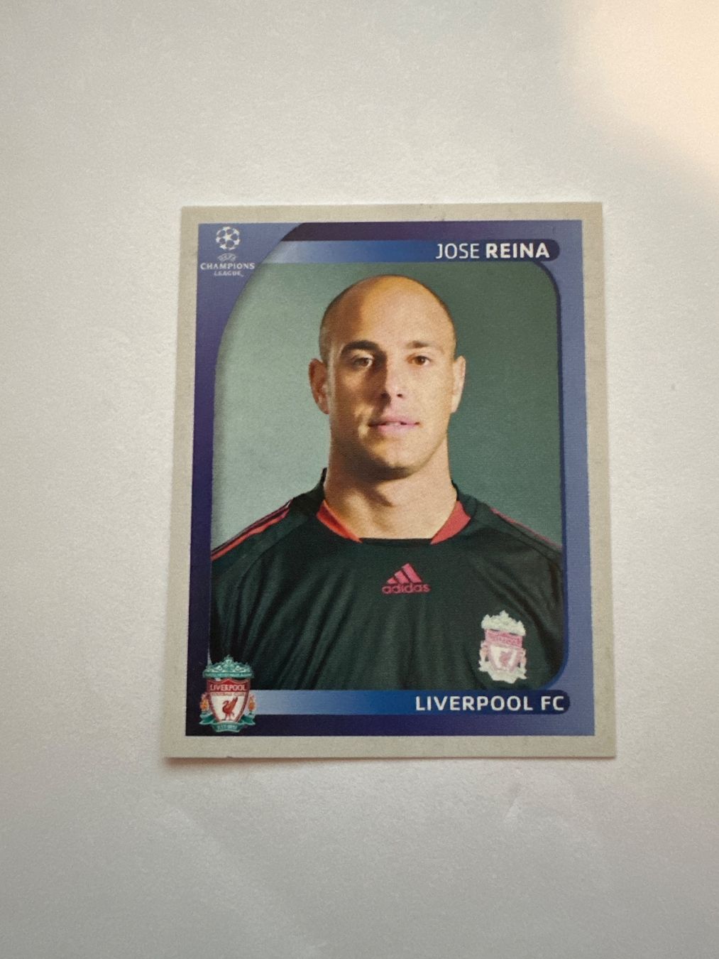 Panini UEFA Champions League 2008/09 - Nr. 333 - Bild 1