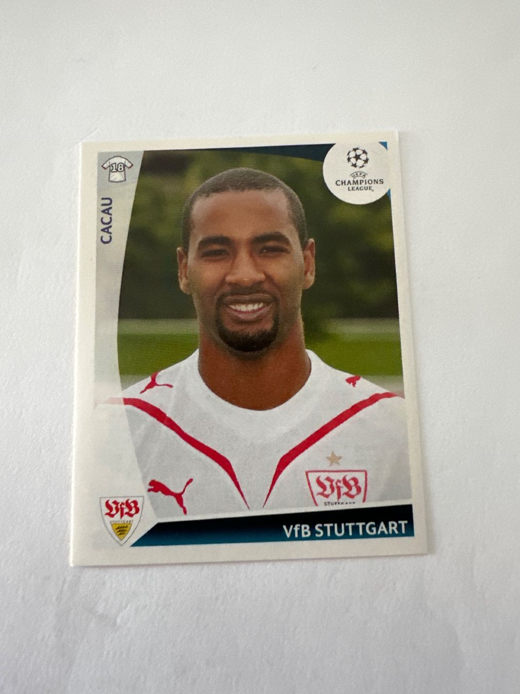 Panini UEFA Champions League 2009/10 - Nr. 463 - Bild 1