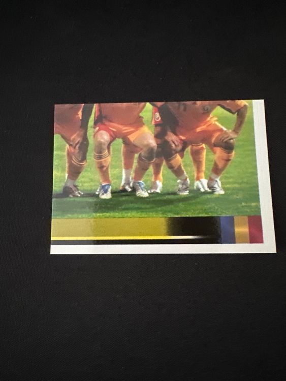 Panini UEFA EURO 2008 – Nr. 310 – Rumänien Mannschaft Teilbild unten rechts – Südamerika-Version – Originalfoto Vorderseite