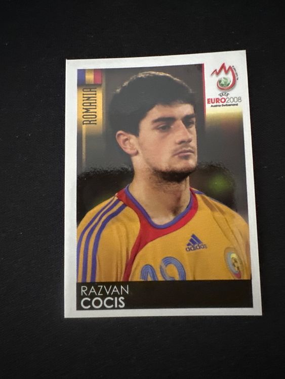 Panini UEFA EURO 2008 – Nr. 324 – Razvan Cocis – Südamerika-Version – Originalfoto Vorderseite