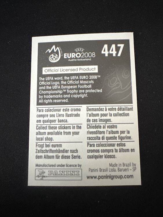 Panini UEFA EURO 2008 – Nr. 447 – Denis Kolodin – Südamerika-Version – Rückseite