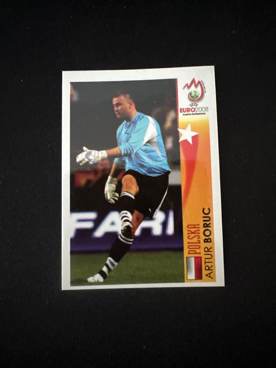 Panini UEFA EURO 2008 – Nr. 463 – Artur Boruc – Action – Südamerika-Version – Originalfoto Vorderseite