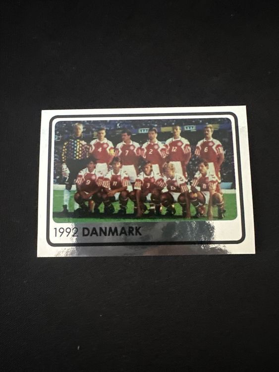 Panini UEFA EURO 2008 – Nr. 532 – Europameister 1992 Dänemark – Südamerika-Version – Originalfoto Vorderseite