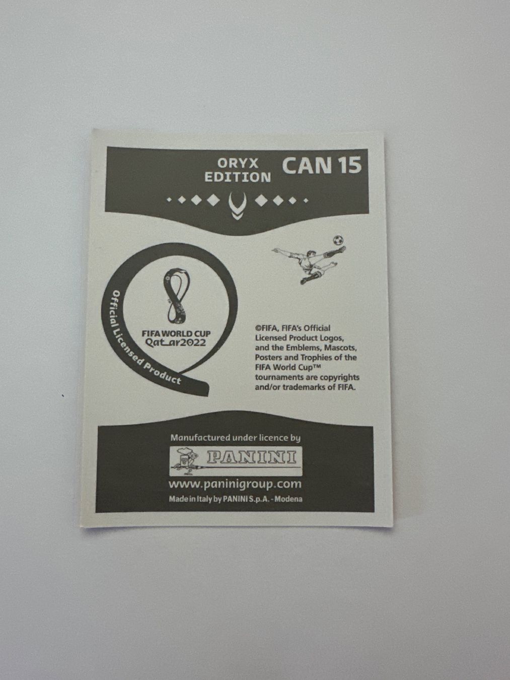 Panini FIFA WM 2022 Oryx - CAN 15 - Mark-Anthony Kaye – Original-Zustandsfoto Rückseite