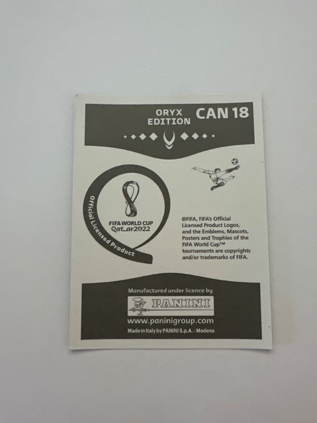 Panini FIFA WM 2022 Oryx - CAN 18 - Jonathan David – Original-Zustandsfoto Rückseite