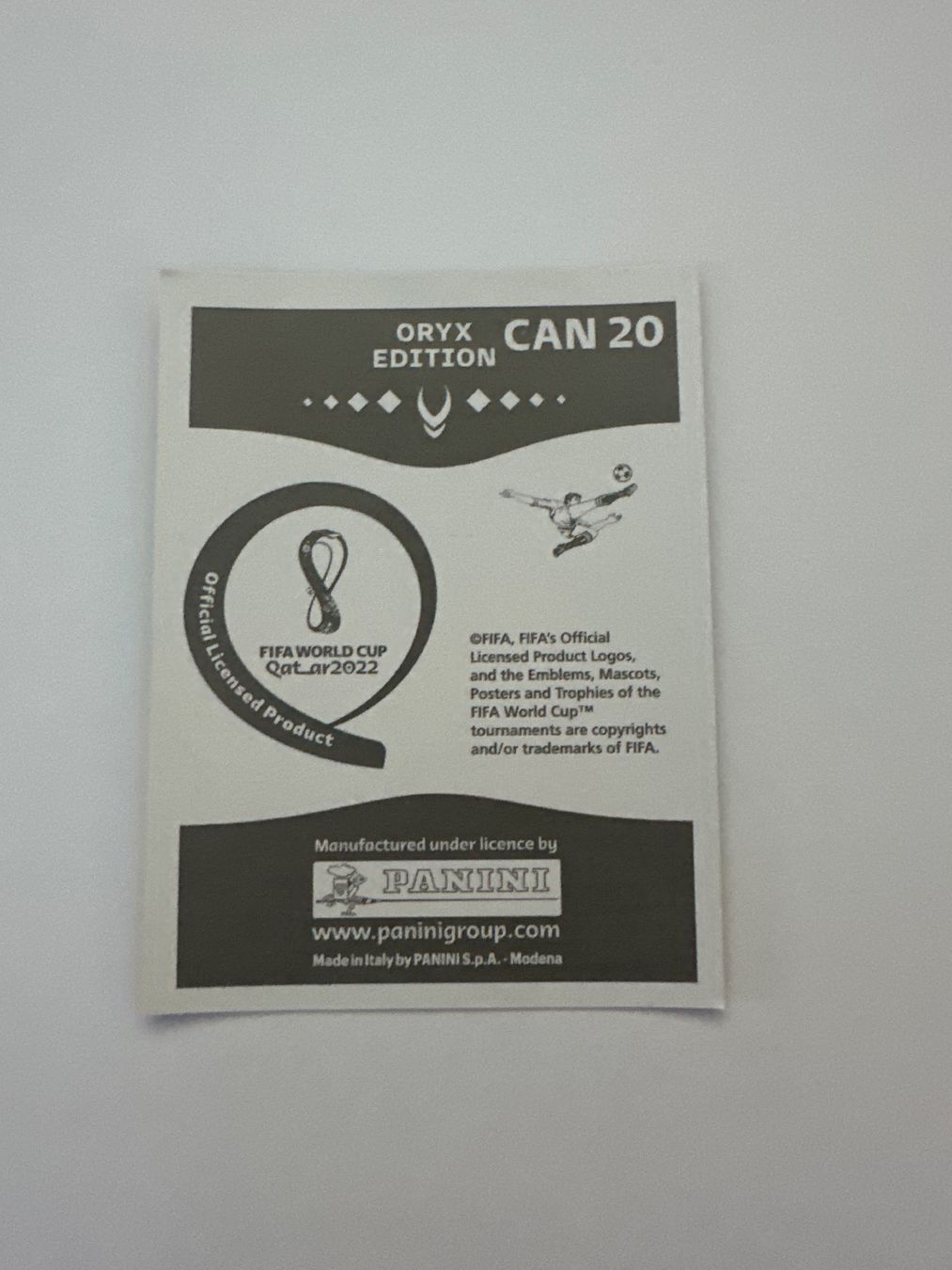 Panini FIFA WM 2022 Oryx - CAN 20 - Cyle Larin – Original-Zustandsfoto Rückseite