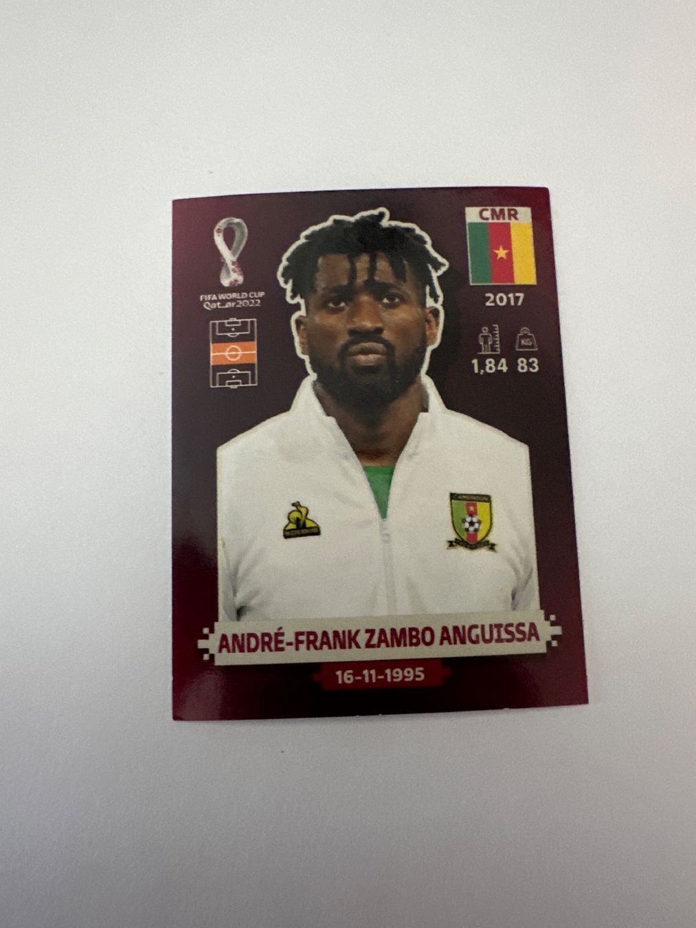 Panini FIFA WM 2022 Oryx - CMR 15 - André-Frank Zambo Anguissa – Original-Zustandsfoto Vorderseite