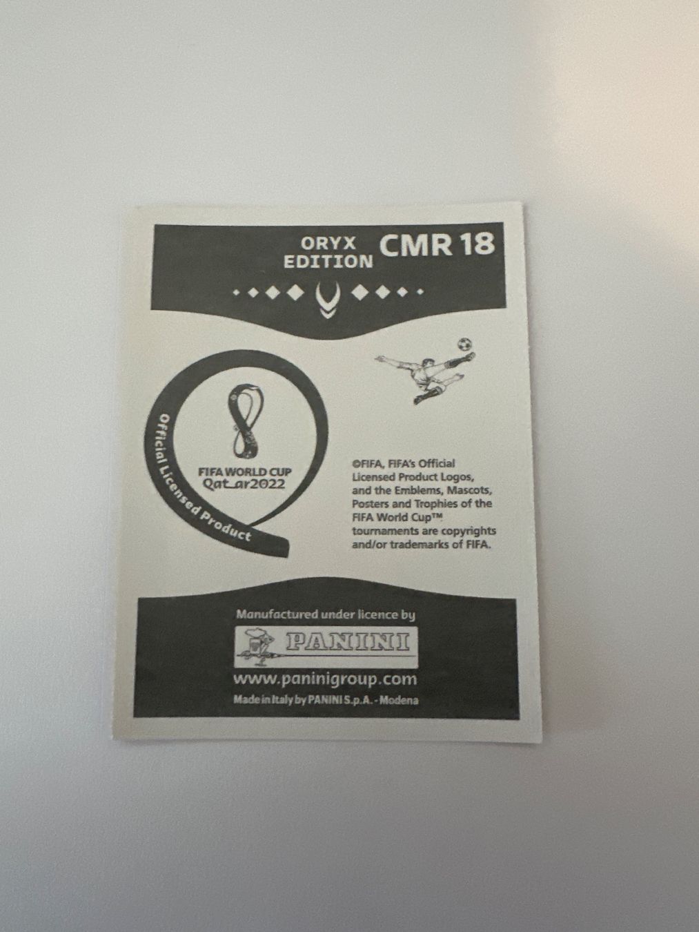 Panini FIFA WM 2022 Oryx - CMR 18 - Eric Maxim Choupo-Moting – Original-Zustandsfoto Rückseite
