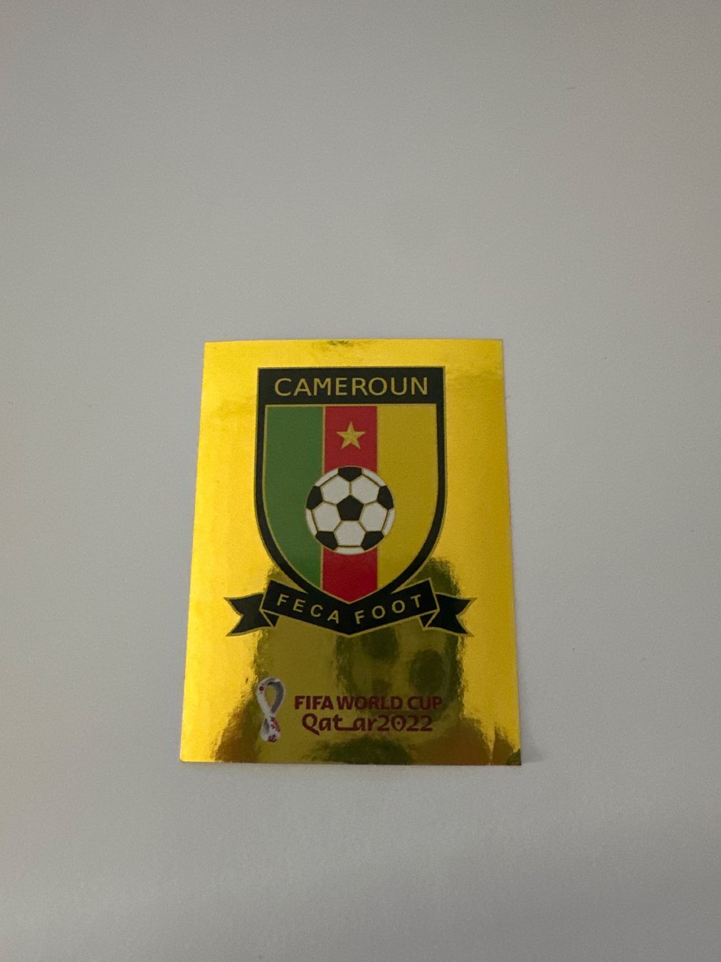 Panini FIFA WM 2022 Oryx - CMR 2 - Team Logo - Cameroon – Original-Zustandsfoto Vorderseite