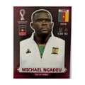 Panini FIFA WM 2022 Oryx - CMR 9 - Michael Ngadeu – Vorderseite