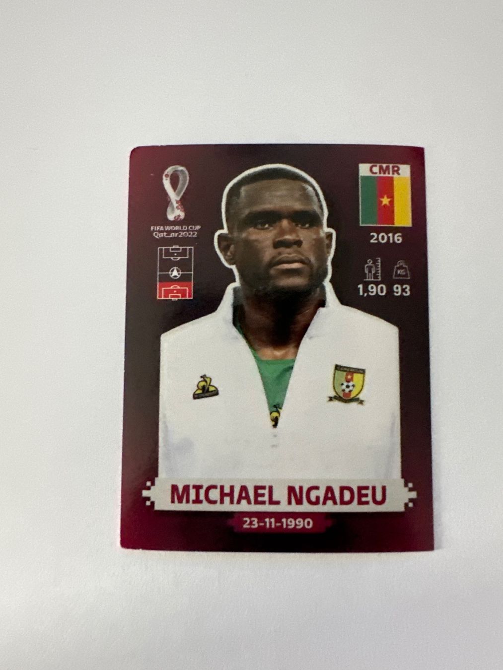 Panini FIFA WM 2022 Oryx - CMR 9 - Michael Ngadeu – Original-Zustandsfoto Vorderseite